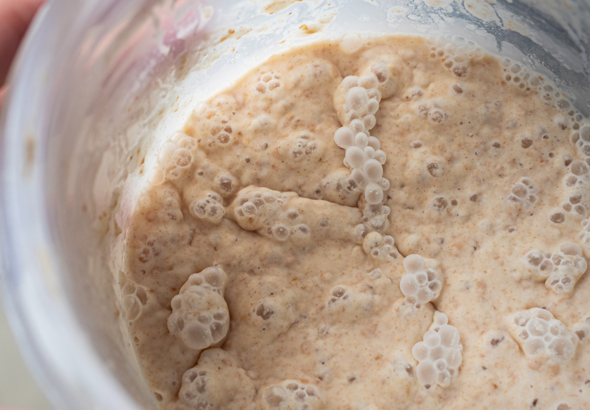 Sourdough Starter