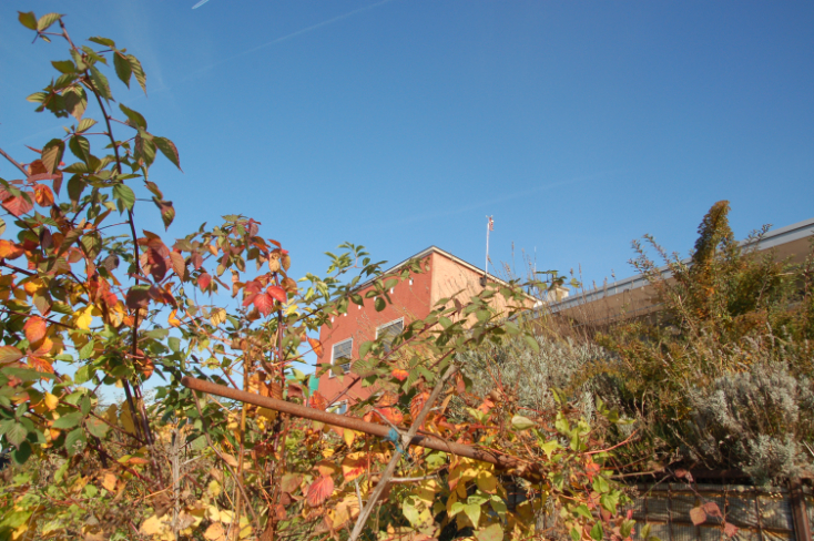 Herbsteindrücke / impressing autumn