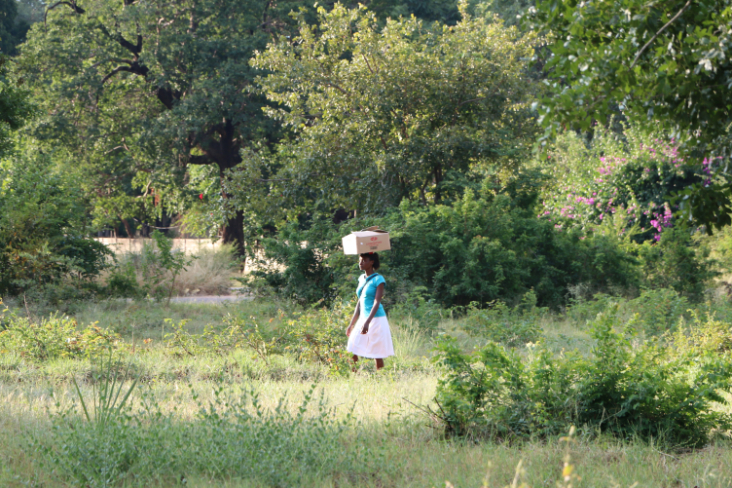 ToR - Impressions Zimbabwe