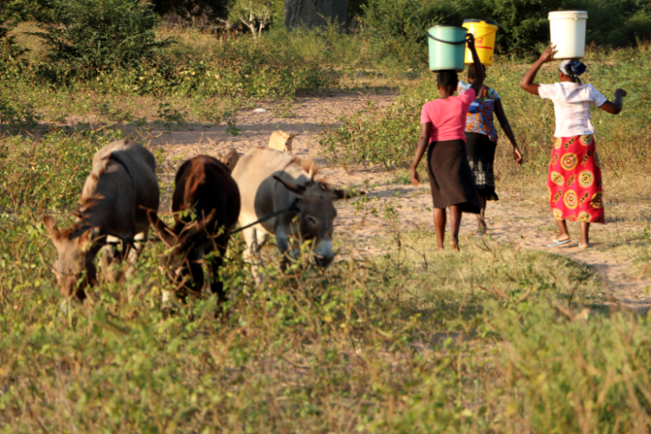 ToR - Impressions Zimbabwe