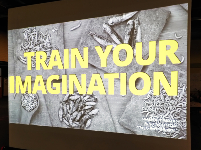 imagination