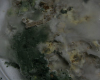 Slide 49