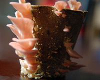 Slide 56
