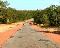 Slide 65