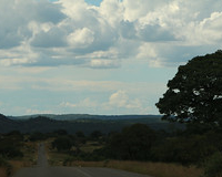 Slide 81