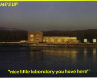 Slide 221