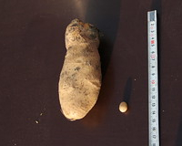 Slide 15