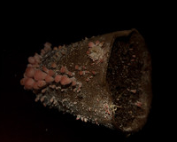 Slide 55